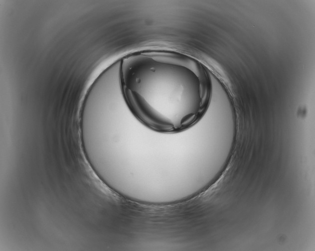 X0000090881192200707271305