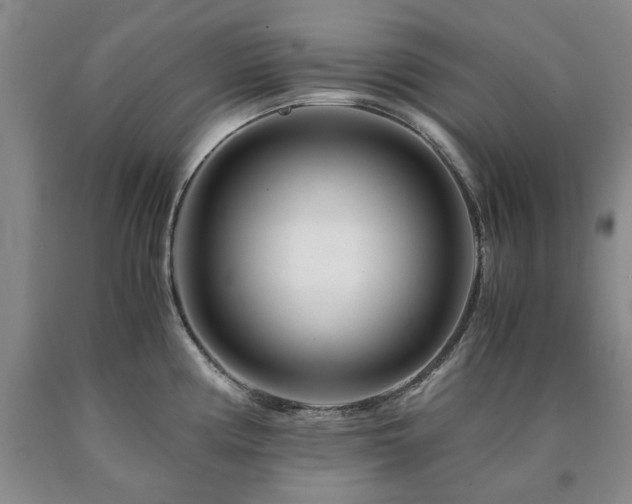 X0000090881194200707271305