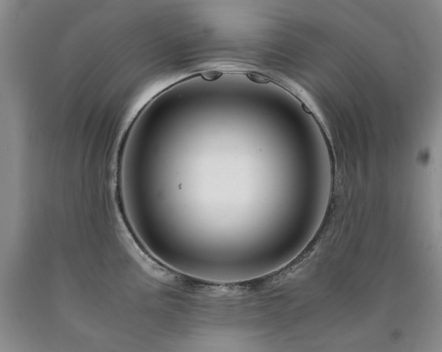 X0000090881195200707271305