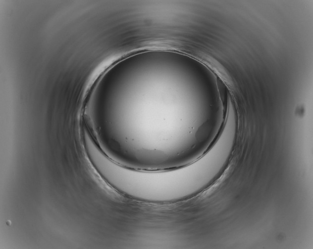 X0000090881196200707271305