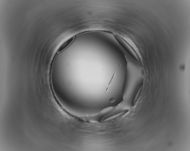 X0000090881197200707271305