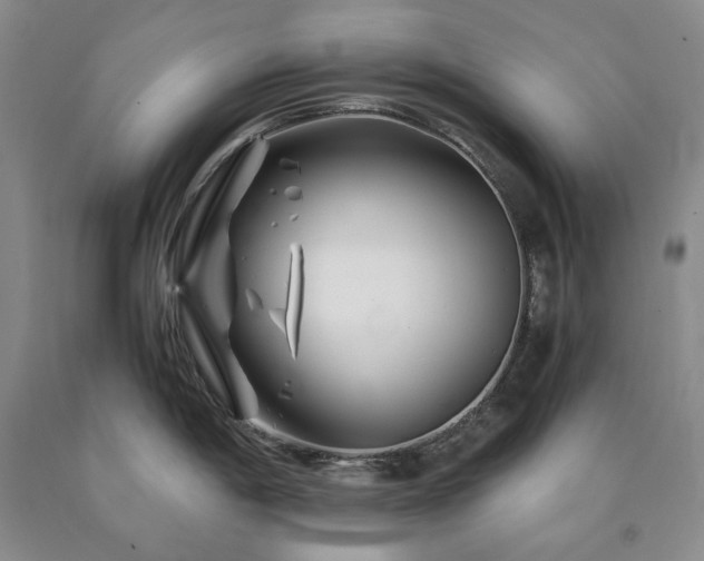 X0000090881198200707271305