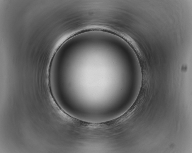 X0000090881199200707271305