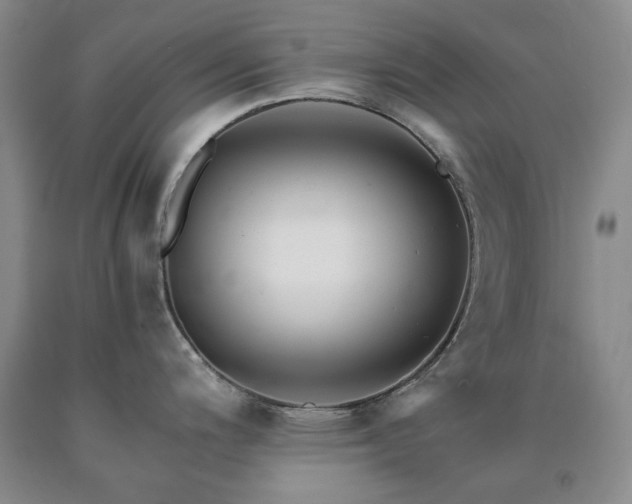 X0000090881200200707271305