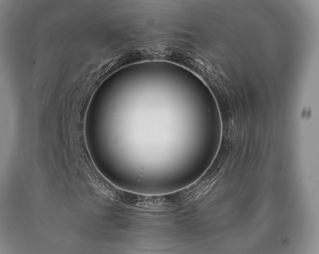 X0000090881201200707271304