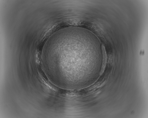 X0000090881202200707271304