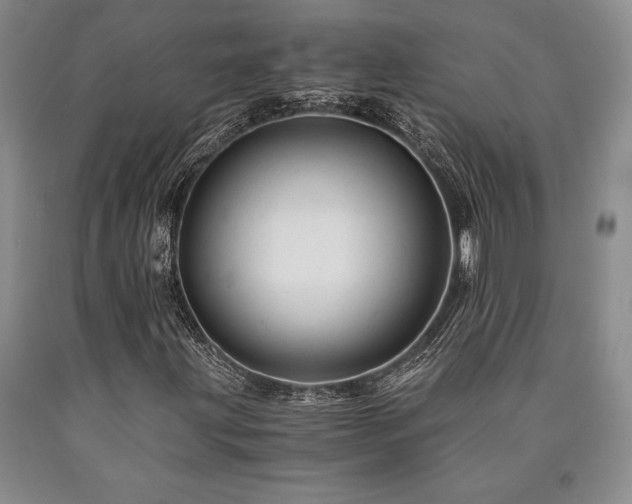 X0000090881203200707271304