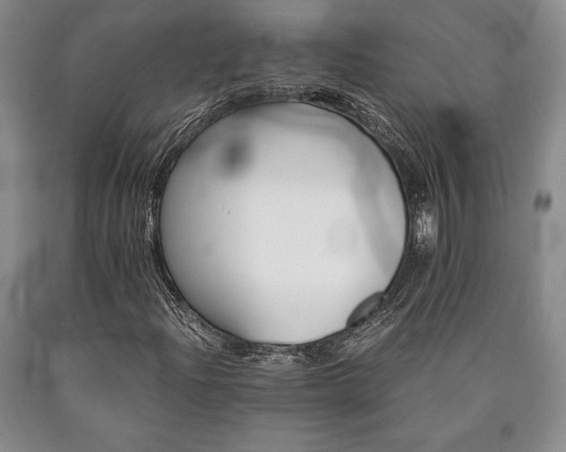 X0000090881204200707271304