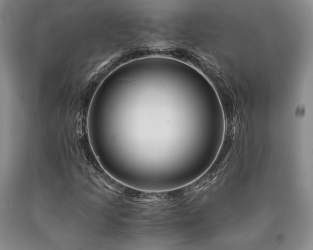 X0000090881205200707271304