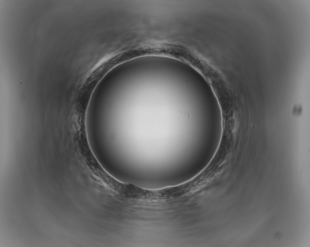 X0000090881206200707271304