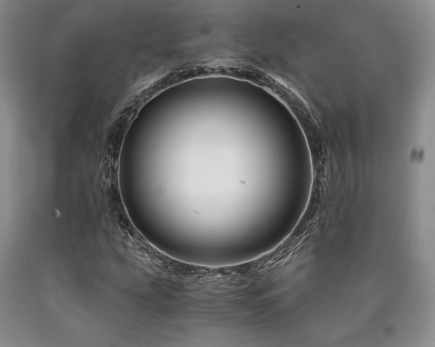 X0000090881207200707271304