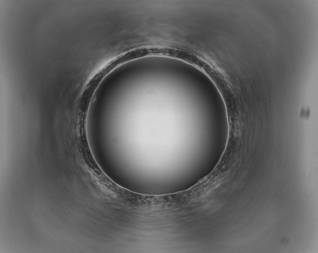 X0000090881208200707271304