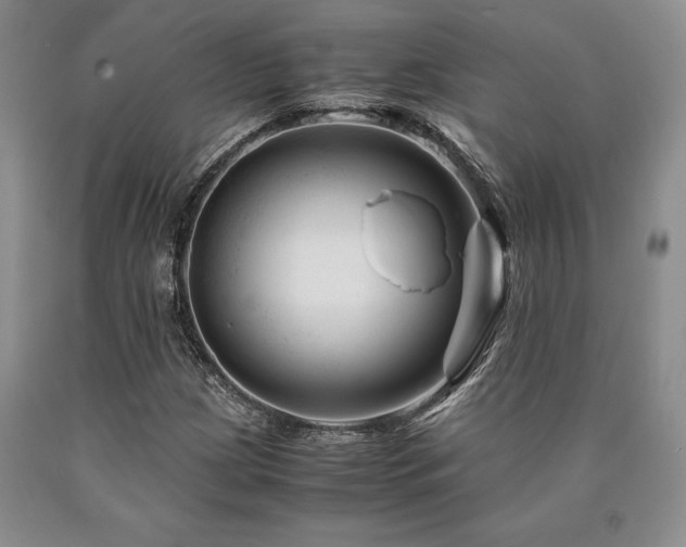 X0000090881209200707271304