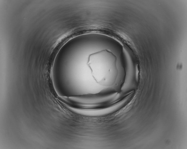 X0000090881210200707271304