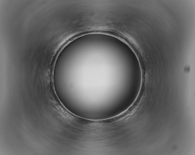 X0000090881212200707271304