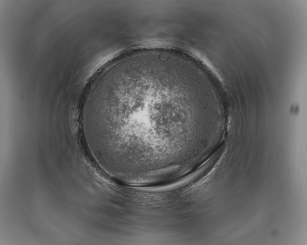 X0000090881213200707271304