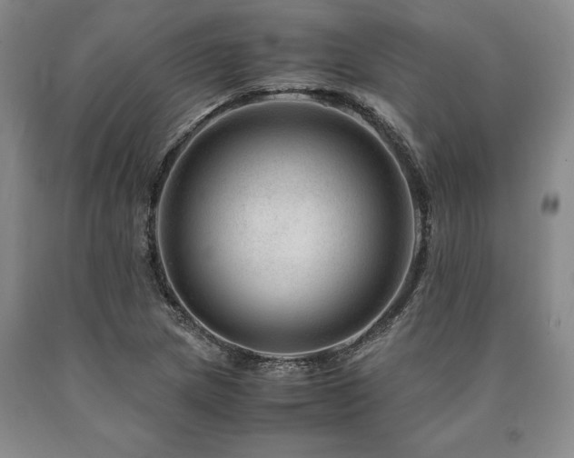 X0000090881217200707271304