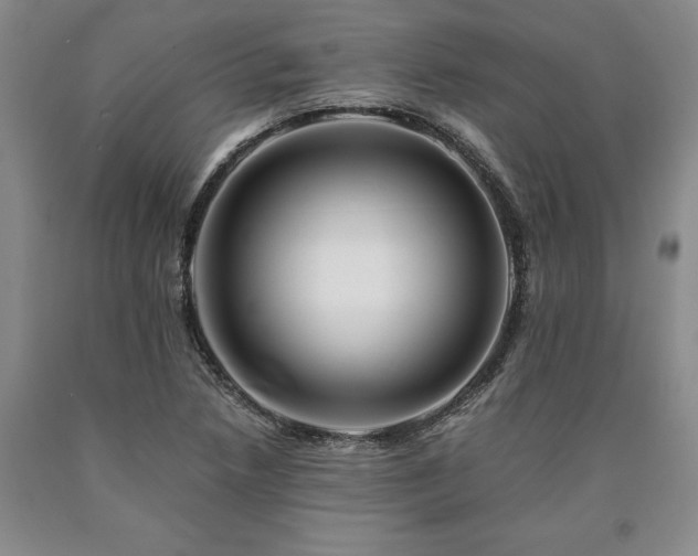 X0000090881218200707271304