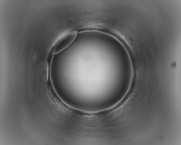 X0000090881219200707271304