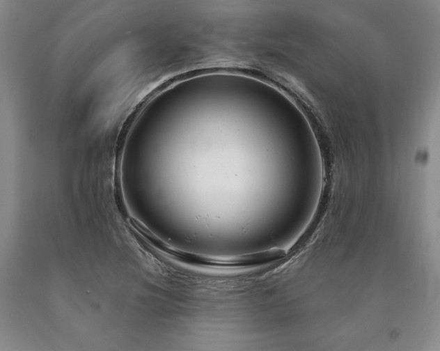 X0000090881220200707271304