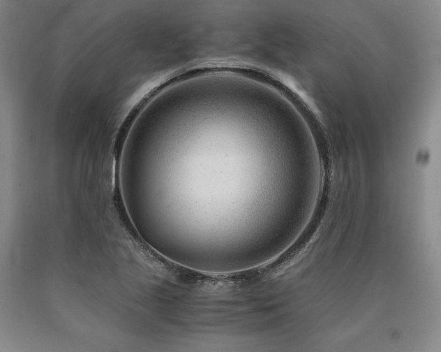 X0000090881221200707271304