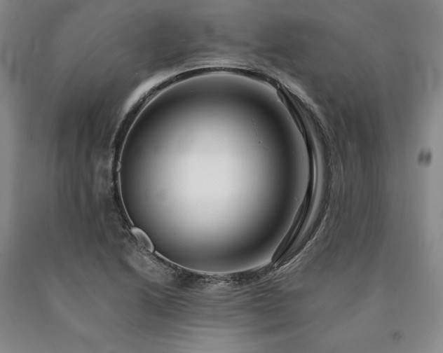X0000090881222200707271304
