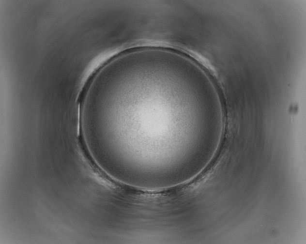 X0000090881223200707271304