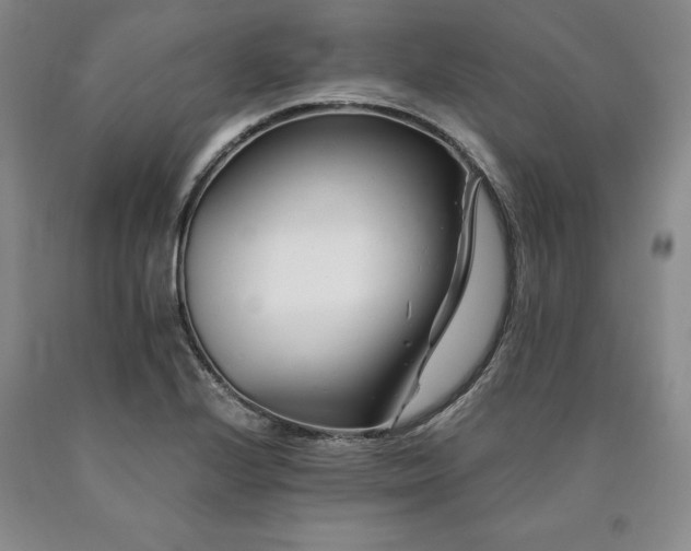 X0000090881224200707271304
