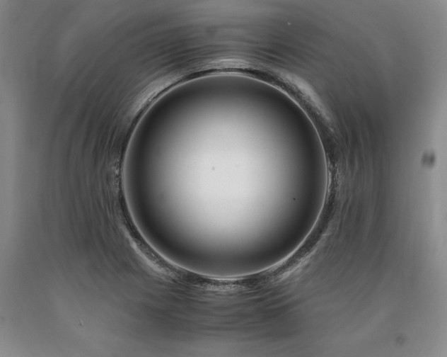 X0000090881225200707271304