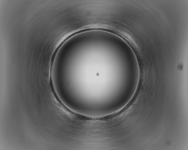 X0000090881228200707271304