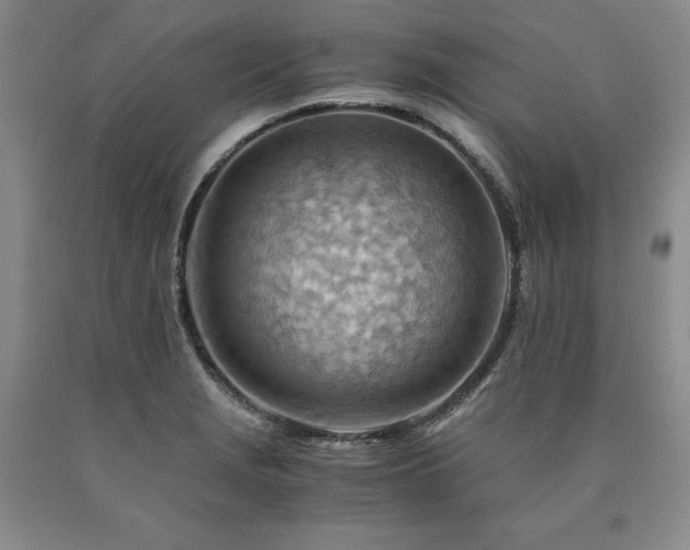 X0000090881229200707271304