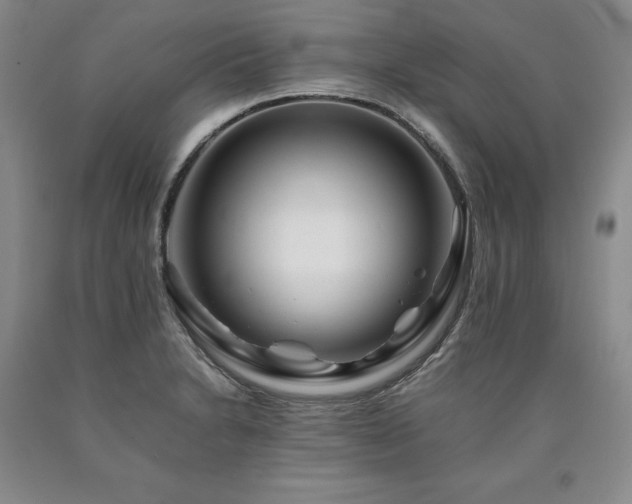 X0000090881230200707271305