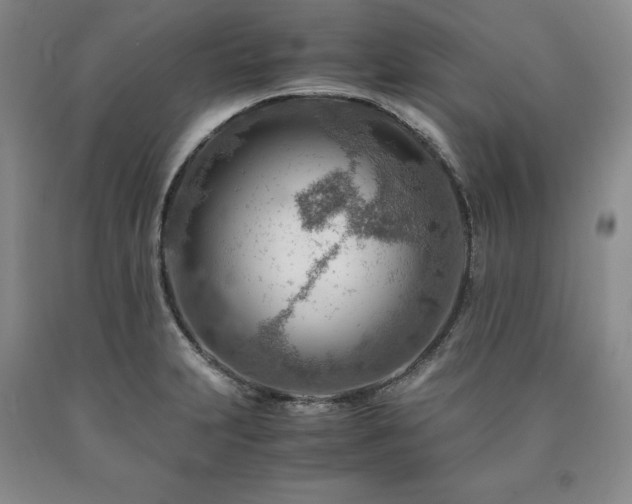 X0000090881231200707271305