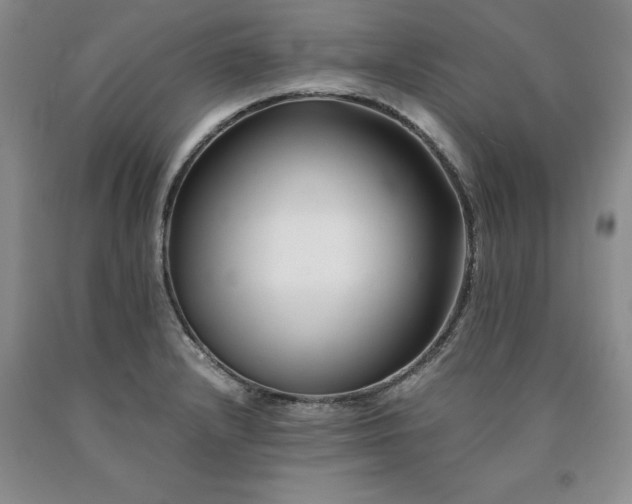 X0000090881232200707271305