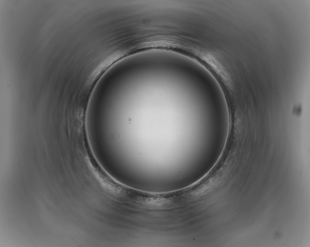 X0000090881233200707271305