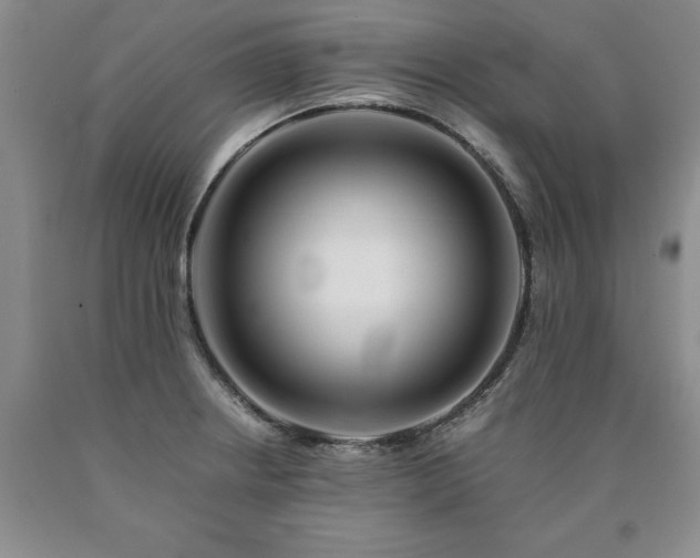 X0000090881234200707271305