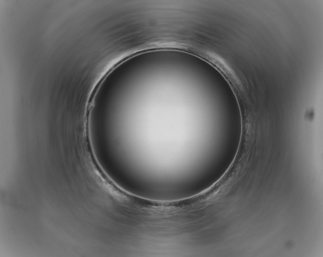 X0000090881236200707271305