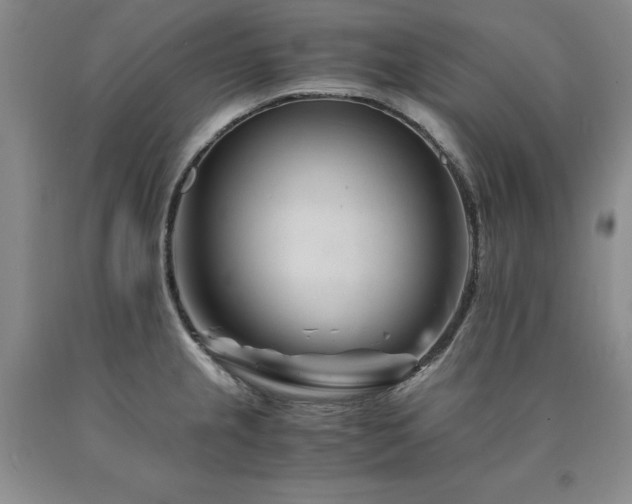 X0000090881237200707271305