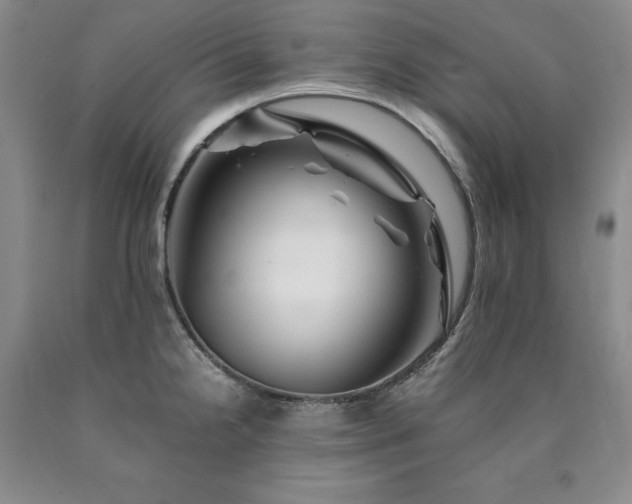 X0000090881238200707271305