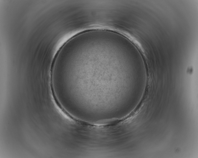 X0000090881239200707271305