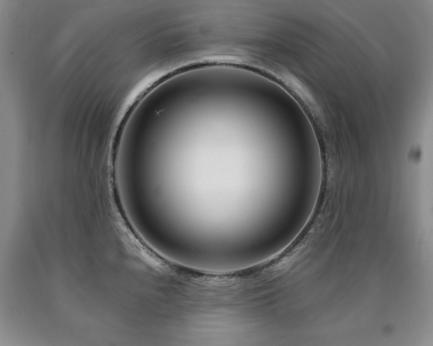 X0000090881240200707271305
