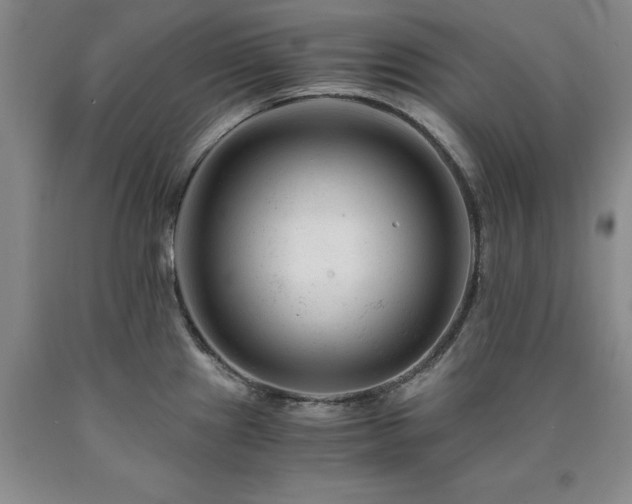 X0000090881241200707271305