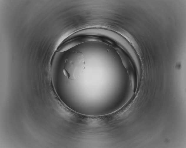 X0000090881242200707271305