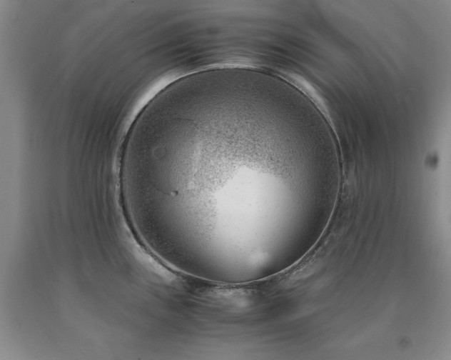 X0000090881243200707271305
