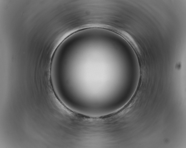 X0000090881244200707271305