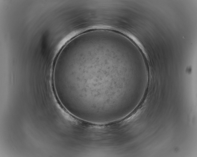 X0000090881245200707271305