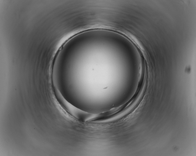 X0000090881246200707271305