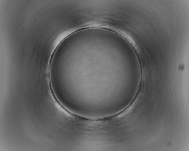 X0000090881247200707271305
