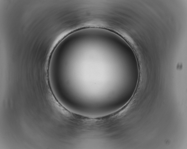 X0000090881248200707271305