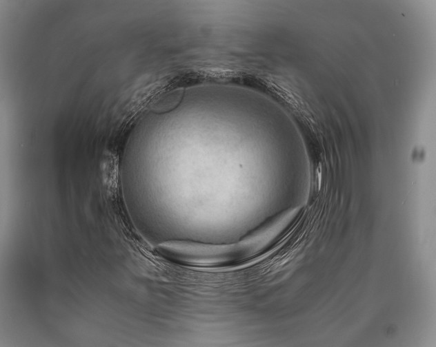 X0000090881251200707271304